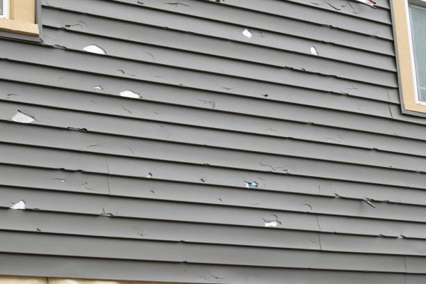 Affordable Siding Repair and Maintenance Services in Hereford, TX